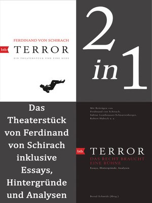 cover image of Terror